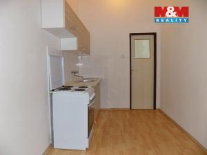 Pronájem bytu 1+kk, Teplice, U nádraží, 30 m2