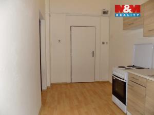 Pronájem bytu 1+kk, Teplice, U nádraží, 30 m2