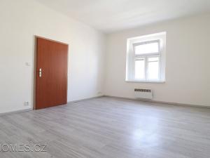 Pronájem bytu 2+kk, Praha - Michle, Hanusova, 36 m2