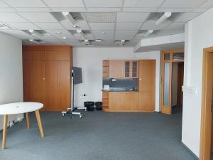 Pronájem kanceláře, Brno, Heršpická, 700 m2