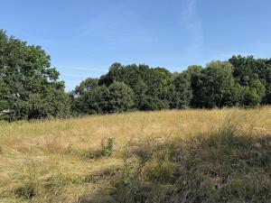 Pronájem louky, Ostrava - Polanka nad Odrou, K Lípě, 9850 m2