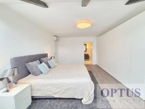 Pronájem bytu 6+kk a větší, Praha - Staré Město, Dušní, 218 m2