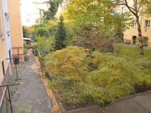 Pronájem bytu 2+1, Praha - Holešovice, Jateční, 55 m2