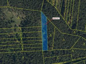 Dražba lesa, Vracov, 1702 m2