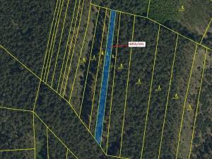 Dražba lesa, Vracov, 1174 m2