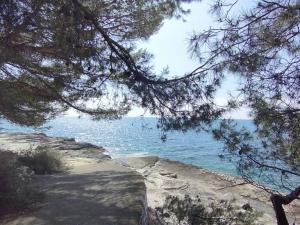 Prodej bytu 2+1, Pula, Chorvatsko, 35 m2