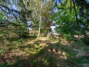 Prodej rodinného domu, Bušovice, 101 m2