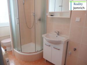 Pronájem bytu 3+1, Liberec, Dvorská, 60 m2