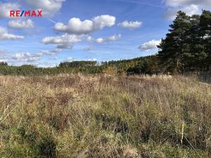 Prodej pozemku pro bydlení, Radošovice, 723 m2