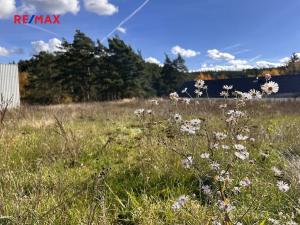 Prodej pozemku pro bydlení, Radošovice, 723 m2