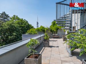 Prodej bytu 5+kk, Praha, Jeseniova, 189 m2