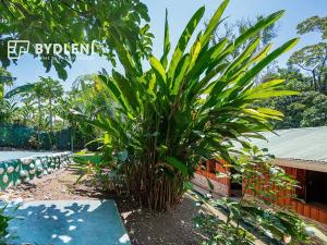 Prodej ubytování, La Tigra, Kostarika, 245 m2