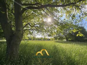 Prodej výrobních prostor, Doubravička, 195 m2