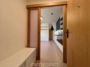 Pronájem bytu 1+kk, Brno, Peroutková, 25 m2