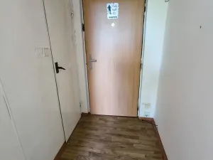 Pronájem bytu 1+1, Děčín, Želenická, 38 m2