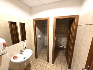 Pronájem výrobních prostor, Brno, Franzova, 785 m2