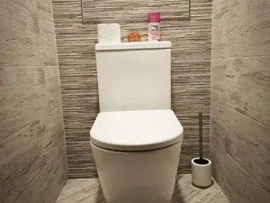 Pronájem bytu 2+1, Most, Zdeňka Fibicha, 56 m2