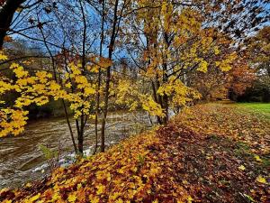 Prodej zahrady, Mnichovo Hradiště, Klášterská, 500 m2