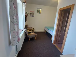 Prodej rodinného domu, Loučná pod Klínovcem, 690 m2