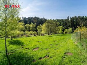 Prodej pozemku, Vlastějovice, 2100 m2