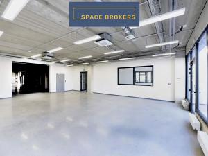 Pronájem obchodního prostoru, Praha - Horní Počernice, K Bílému vrchu, 4500 m2