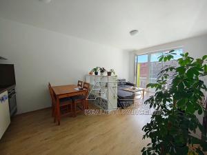 Pronájem bytu 1+1, České Budějovice, Nová, 47 m2