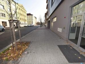 Prodej bytu 2+kk, Praha - Vršovice, Petrohradská, 118 m2