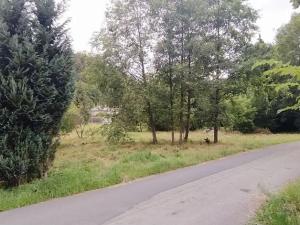 Prodej pozemku pro bydlení, Hanušovice, 3222 m2