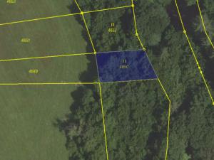 Prodej pole, Knínice - Knínice u Boskovic, 4183 m2