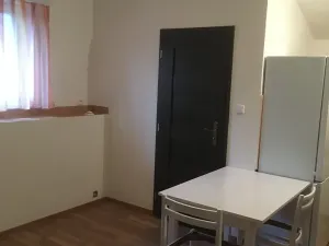 Pronájem bytu 2+kk, Rybniště, 45 m2