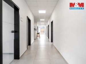 Pronájem kanceláře, Děčín - Děčín II-Nové Město, Benešovská, 320 m2