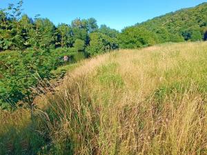 Prodej louky, Nižbor - Žloukovice, 1665 m2