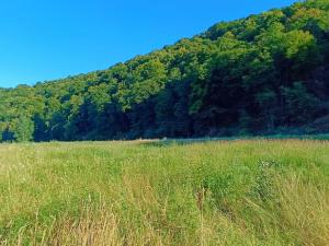 Prodej louky, Nižbor - Žloukovice, 1665 m2