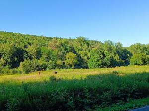 Prodej louky, Nižbor - Žloukovice, 1665 m2