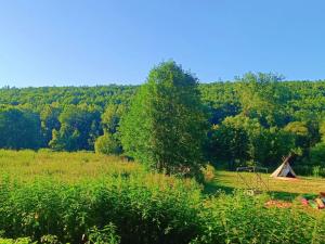 Prodej louky, Nižbor - Žloukovice, 1665 m2