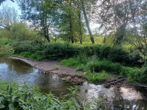 Dražba pozemku, Mimoň, 11189 m2