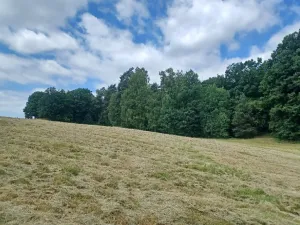 Dražba pozemku, Zahrádky, 992 m2