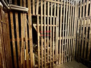 Prodej rodinného domu, Praha - Hloubětín, Poděbradská, 645 m2