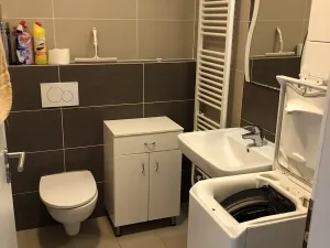 Pronájem bytu 1+kk, Brno, Řípská, 37 m2