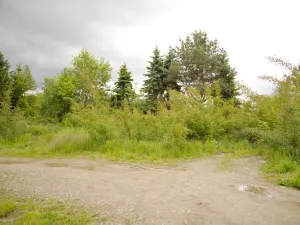 Prodej pozemku pro bydlení, Tábor, Družstevní, 1117 m2