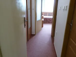 Pronájem bytu 1+kk, Brno, Heršpická, 23 m2