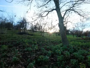 Prodej pozemku pro bydlení, Šumice, 2544 m2