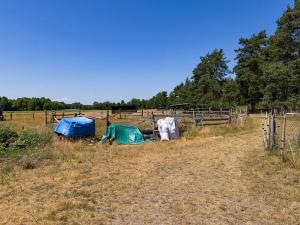 Prodej louky, Doksy, 46765 m2