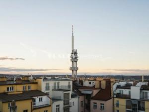 Prodej bytu 4+kk, Praha - Žižkov, Vinohradská, 139 m2