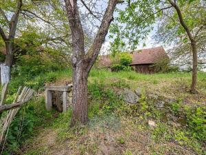 Prodej zemědělské usedlosti, Velká Bíteš, 850 m2