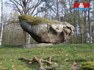 Prodej lesa, Petrovice - Žemličkova Lhota, 3719 m2