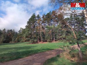 Prodej lesa, Petrovice - Žemličkova Lhota, 3719 m2