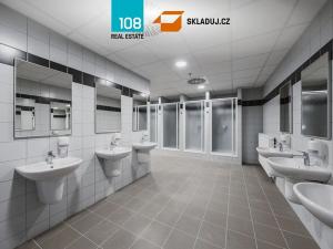 Pronájem skladu, Hrušky, 36695 m2