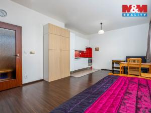 Prodej bytu 1+kk, Milovice - Mladá, Rakouská, 36 m2
