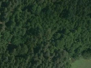 Prodej lesa, Libín - Slavošovice, 32765 m2